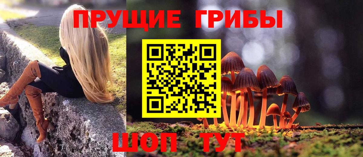 Бахчисарай  Галлюциногенные грибы ЛСД  Вход с VPN  Галлюциногенные грибы прущие грибы 