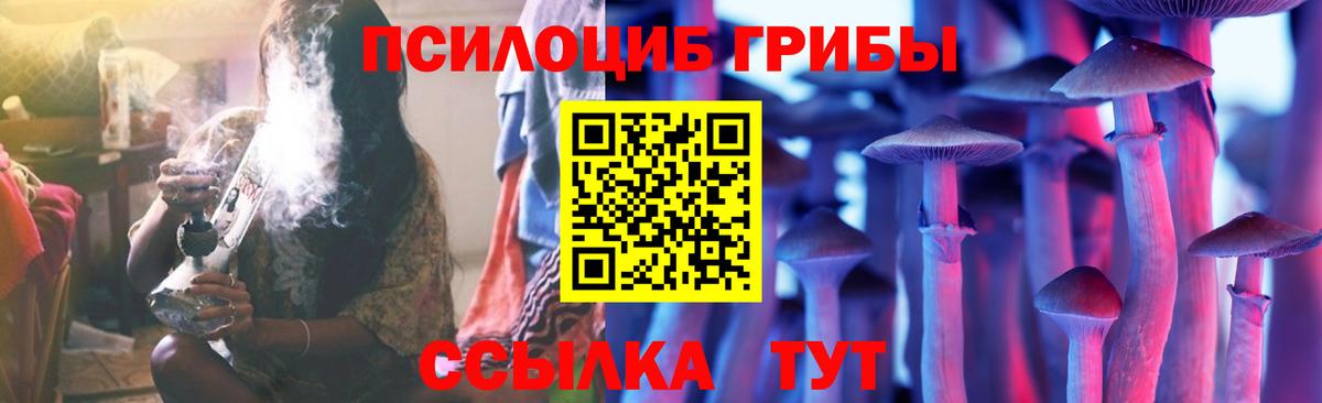 Псилоцибиновые грибы мицелий Бахчисарай